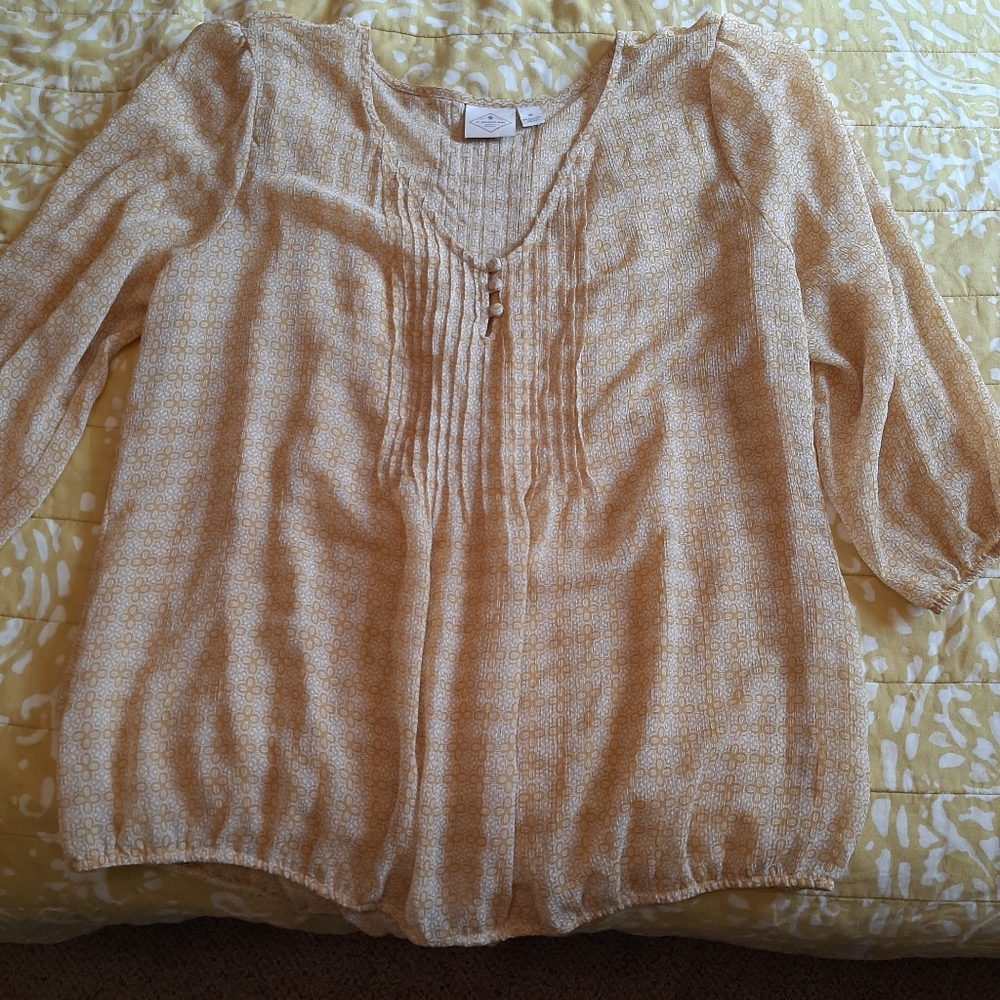 Shear Blouse